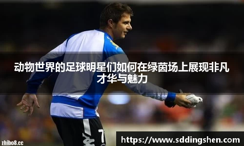 动物世界的足球明星们如何在绿茵场上展现非凡才华与魅力